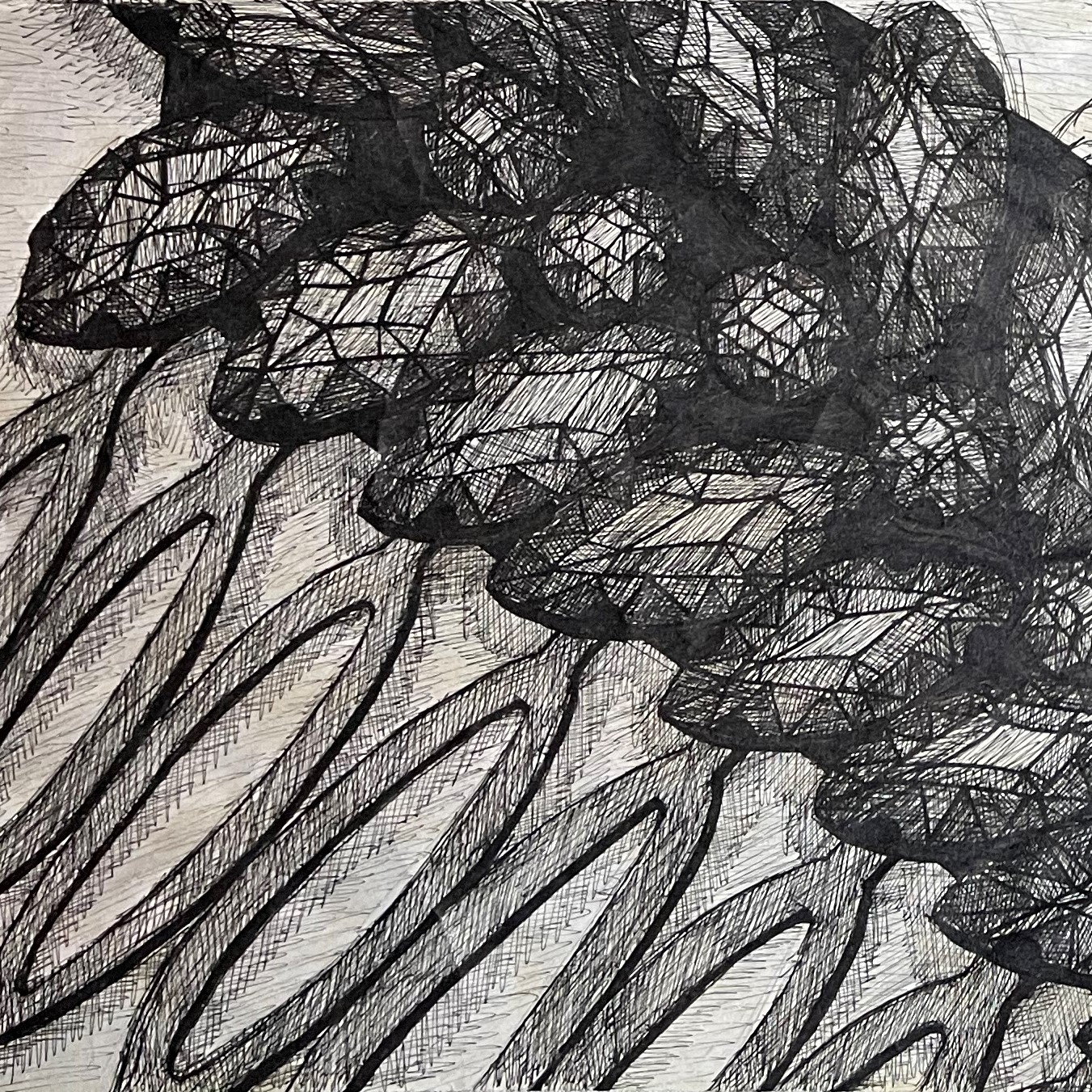 Comb 7